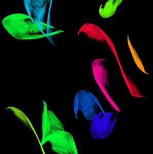 Meet your Posher, Shelbi